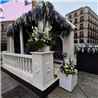 EVENTOS EV-26012