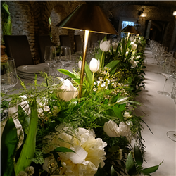EVENTOS EV-26019