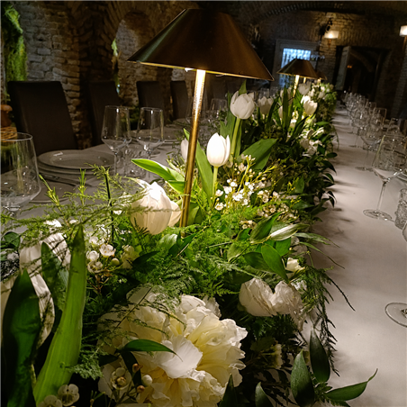 EVENTOS EV-26019