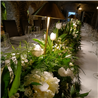 EVENTOS EV-26019