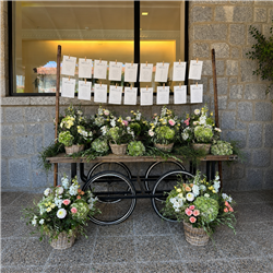 DECORACIÓN EXTERIORES BODA EX26010