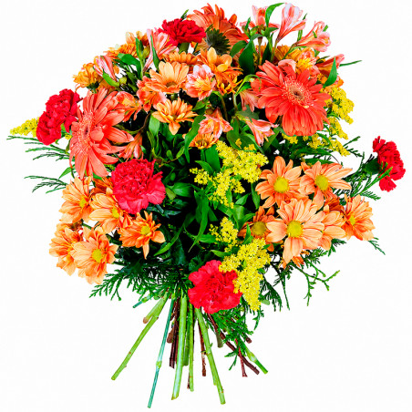 RAMO DE FLORES FUROR