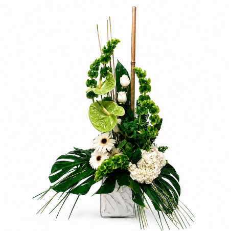 CENTRO FLORAL PUNTA CANA