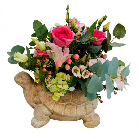 TORTUGA