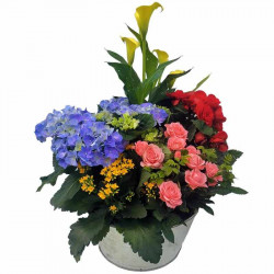 JARDÍN DE AMOR CON REGALOS ESPECIALES