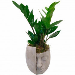 REGALO NATURAL PARA PAPÁ