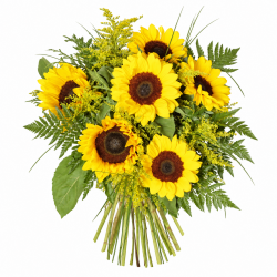 RAMO DE GIRASOLES