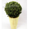 PLANTAS Y FLORES SECAS Y ARTIFICIALES 658