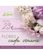 Flores cada Semana