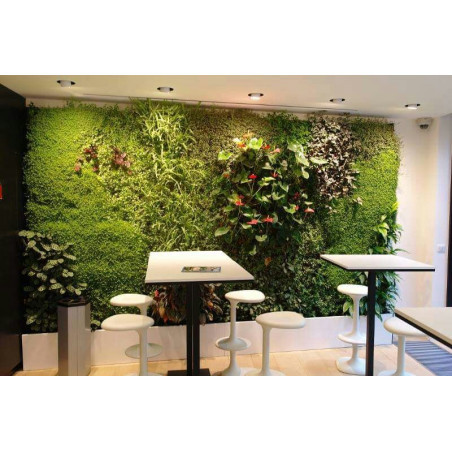 JARDINES VERTICALES